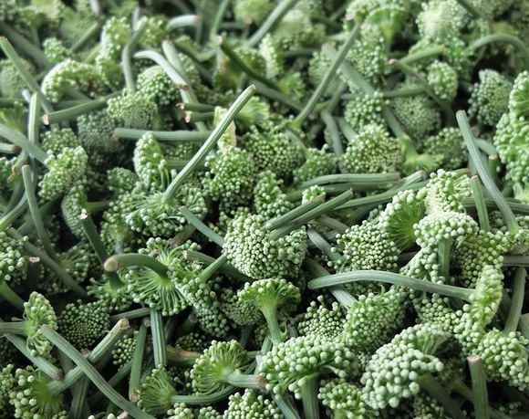 Sản phẩm hoa tam thất khô tại đặc sản rừng