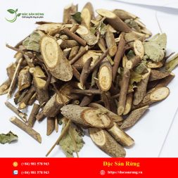 Chuyen cung cap nhung loai thao duoc gia tot nhat