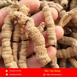 Chuyen cung cap nhung loai thao duoc gia tot nhat