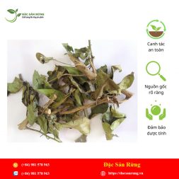 Chuyen cung cap nhung loai thao duoc gia tot nhat