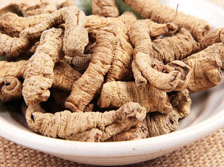 Củ Ba Kích Tím