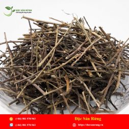 Chuyen cung cap nhung loai thao duoc gia tot nhat