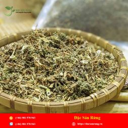 Chuyen cung cap nhung loai thao duoc gia tot nhat