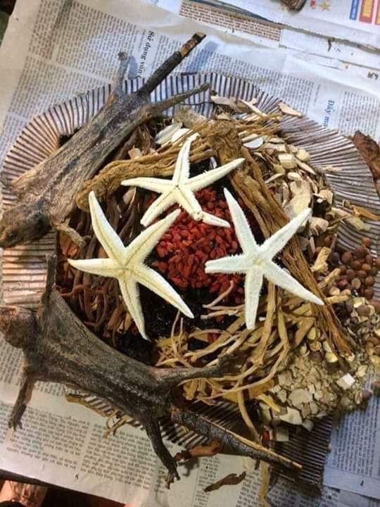 Thành phần có trong Minh Mạng Thang