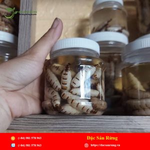 Mối Chúa