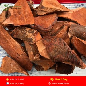 Cây Mú Từn (Cù Boong Nậu)