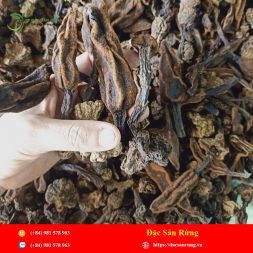 Chuyen cung cap nhung loai thao duoc gia tot nhat