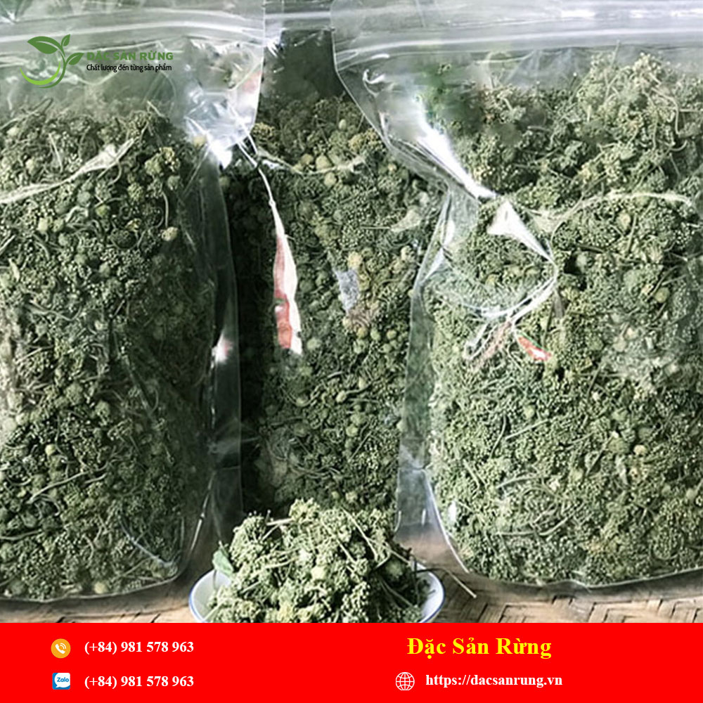 Chuyen cung cap nhung loai thao duoc gia tot nhat