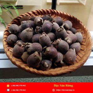 Qủa Sim Rừng Khô