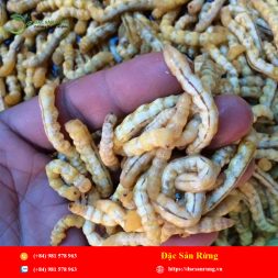 Chuyen cung cap nhung loai thao duoc gia tot nhat