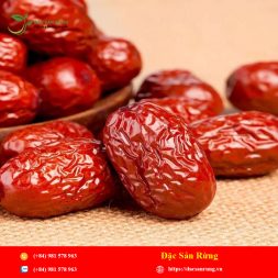 Chuyen cung cap nhung loai thao duoc gia tot nhat