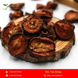 Chuyen cung cap nhung loai thao duoc gia tot nhat