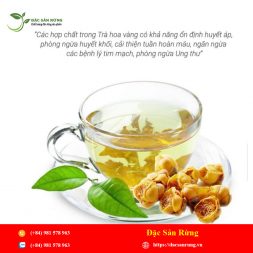 Chuyen cung cap nhung loai thao duoc gia tot nhat