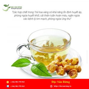 Trà Hoa Vàng - Ba Chẽ