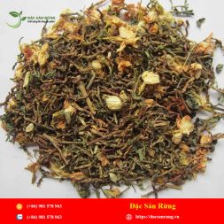 Chuyen cung cap nhung loai thao duoc gia tot nhat