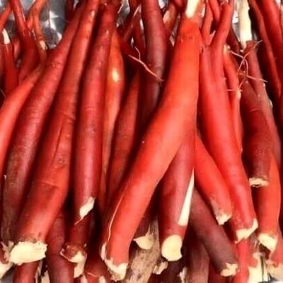 củ sâm cau đỏ đã rửa sạch