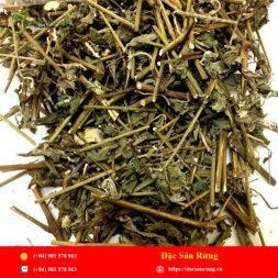 Chuyen cung cap nhung loai thao duoc gia tot nhat