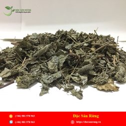 Chuyen cung cap nhung loai thao duoc gia tot nhat