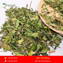 Chuyen cung cap nhung loai thao duoc gia tot nhat