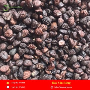Mắc Khén Hạt Dổi
