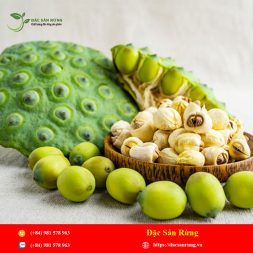 Chuyen cung cap nhung loai thao duoc gia tot nhat