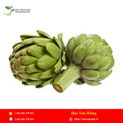 Chuyen cung cap nhung loai thao duoc gia tot nhat