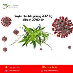 Chuyen cung cap nhung loai thao duoc gia tot nhat